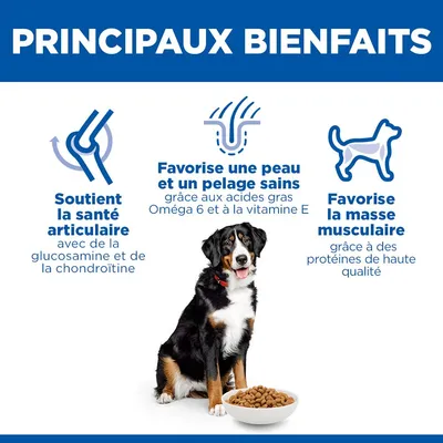 Hill's Science Plan Adult 1-5 Large poulet pour chien