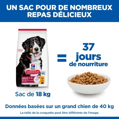 Hill's Science Plan Adult 1-5 Large poulet