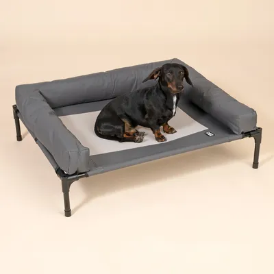 TIAKI Hundesofa Sun
