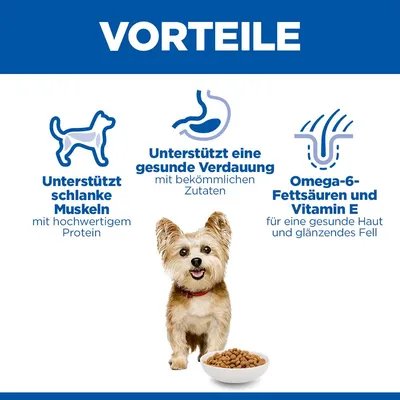 Hill's Science Plan Adult 1-6 Small & Mini mit Huhn