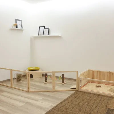 Holzgehege mit Plexiglaswänden, ausgestattet mit Spielzeug, Heuraufe und Sandbereich. Geeignet für Innenräume auf Laminatboden.