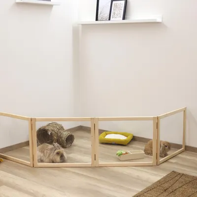 Holz-Freigehege mit Plexiglaswänden, zwei Kaninchen im Gehege. Zubehör: Grasröhre, gelbes Kissen und Futterschale mit Gemüse.