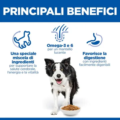 Hill's Science Plan Senior Vitality Mature Adult 7+ Medium con Pollo