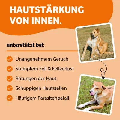 Hautstärkung von innen. Unterstützt bei: unangenehmem Geruch, stumpfem Fell und Fellverlust, Rötungen der Haut, schuppigen Hautstellen, häufigem Parasitenbefall. Hautstärkung von innen. Unterstützt bei: unangenehmem Geruch, stumpfem Fell und Fellverlust, Rötungen der Haut, schuppigen Hautstellen, häufigem Parasitenbefall.