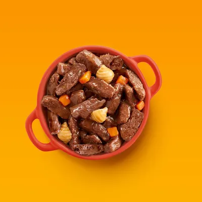 Roter Napf mit saftigen Fleischstücken, Karottenwürfeln und cremigen Beilagen in Soße vor orangefarbenem Hintergrund.
