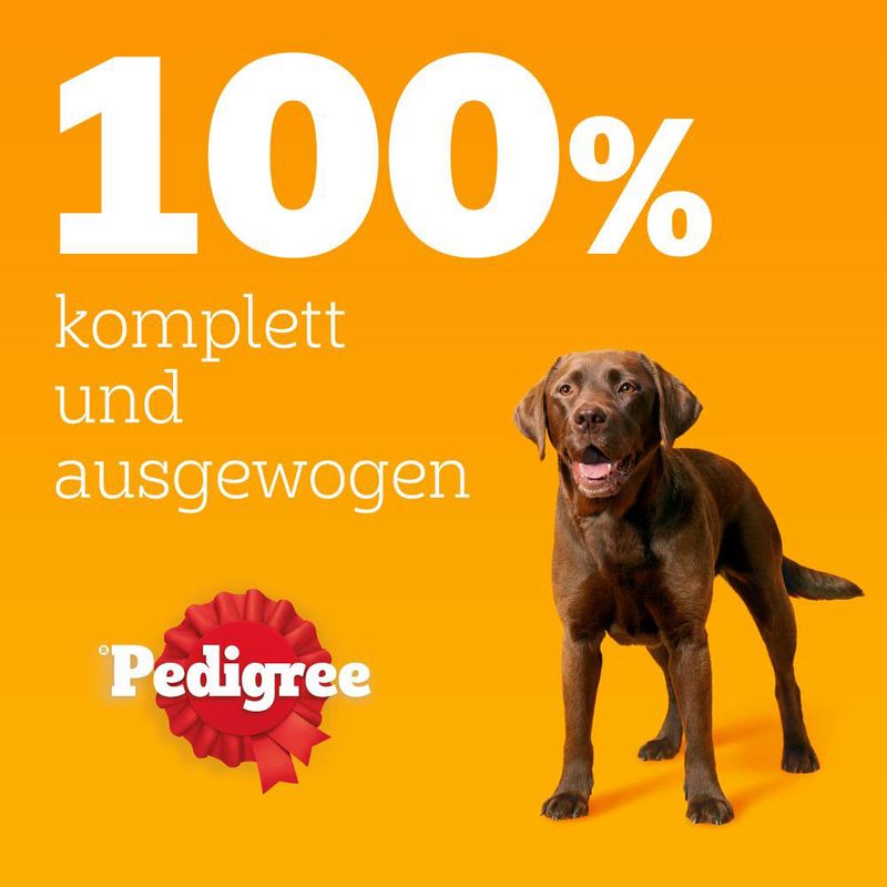 Pedigree Classic 12 x 800 g