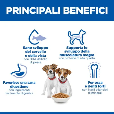 Hill's Science Plan Puppy Small & Mini Agnello & Riso