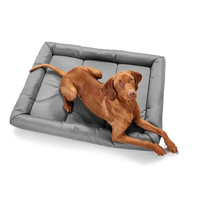 Dog lying on grey dog bed with embroidered Hunter logo.