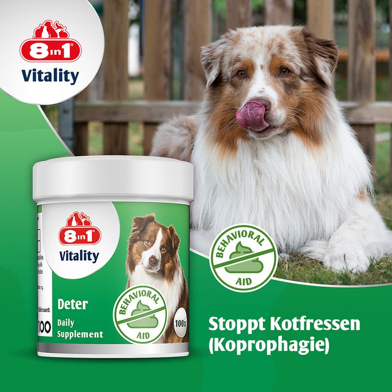 8in1 Vitality Deter Daily Supplement, Behavioral Aid. Stoppt Kotfressen (Koprophagie). Dose mit 100 Tabletten und Hund im Hintergrund.
