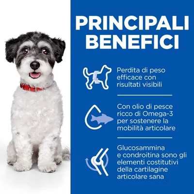 Hill's Science Plan Perfect Weight & Active Mobility Adult Small & Mini con Pollo