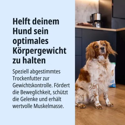 Helft deinem Hund sein optimales Körpergewicht zu halten. Speziell abgestimmtes Trockenfutter zur Gewichtskontrolle, fördert Beweglichkeit, schützt Gelenke und erhält Muskelmasse.