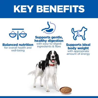 Hill's Science Plan Adult