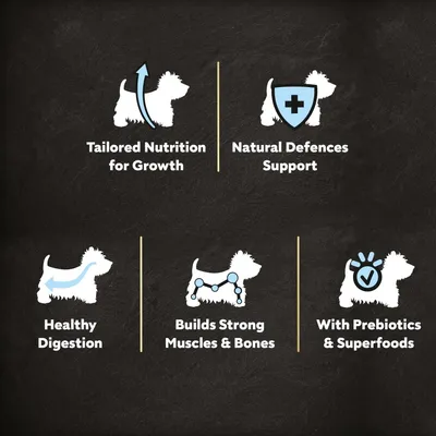 Cesar Junior with Chicken, Rice & Vegetables