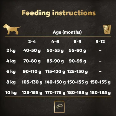 Cesar Junior with Chicken, Rice & Vegetables