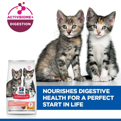 Hill's Science Plan Perfect Digestion Kitten <1 Chicken & Brown Rice
