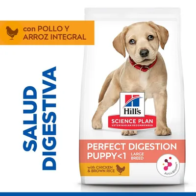 Hill's Science Plan Perfect Digestion Puppy Large pollo y arroz integral