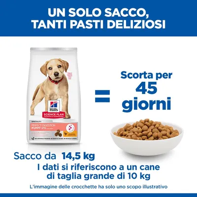 Hill's Science Plan Large Puppy Perfect Digestion Crocchette per cani