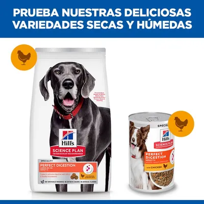 Hill's Science Plan Perfect Digestion Adult Large pollo y arroz integral