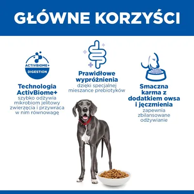 Hill's Science Plan Perfect Digestion Adult Large, kurczak i brązowy ryż