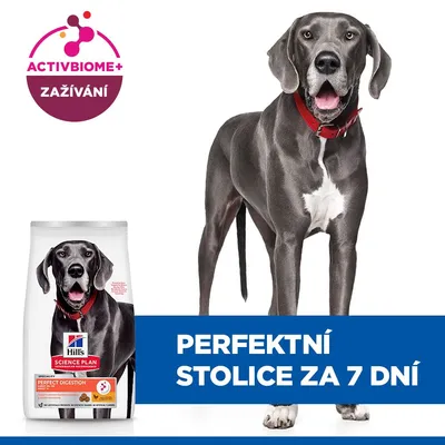 Hill's Science Plan Perfect Digestion Adult Large Chicken & Brown Rice