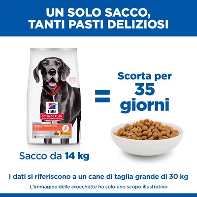Hill's Science Plan Perfect Digestion Adult Large con Pollo e Riso