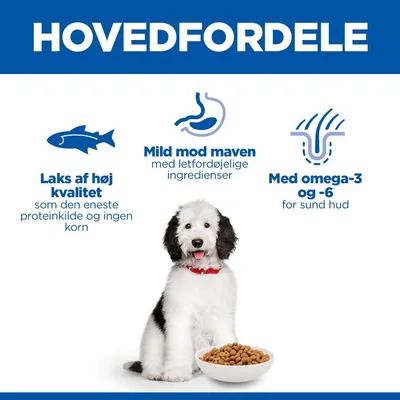 Hill's Science Plan Hypoallergenic Adult Large med laks