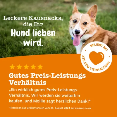 Zesty Paws Allergy & Immunity Chews Lachs