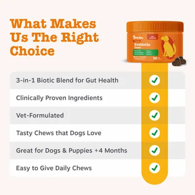 Zesty Paws Probiotic Chews Digestion - Pumpkin - dog supplements - 50 Chews Zesty Paws Probiotic Chews Digestion - Pumpkin - dog supplements - 50 Chews