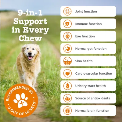 Zesty Paws Senior Advanced 9-in-1 Chews pavo Zesty Paws Senior Advanced 9-in-1 Chews pavo