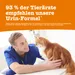 Zesty Paws Cat Urinary Care Paste