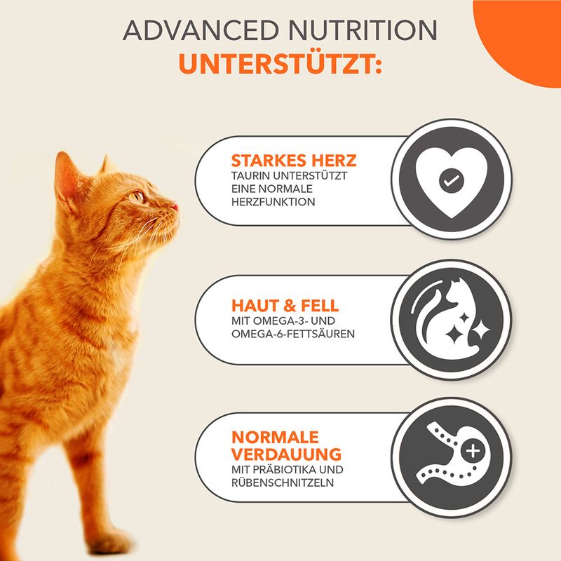 IAMS Advanced Nutrition Adult Cat mit Lachs