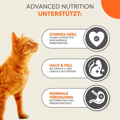 Advanced Nutrition unterstützt: Starkes Herz mit Taurin, Haut & Fell mit Omega-3 und Omega-6-Fettsäuren, normale Verdauung mit Präbiotika und Rübenschnitzeln.