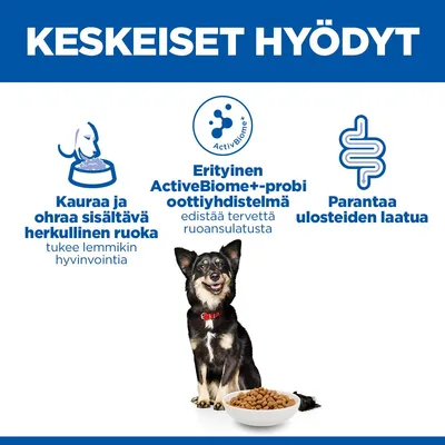 Hill's Science Plan Perfect Digestion Adult 1+ Small & Mini kana & ruskea riisi Hill's Science Plan Perfect Digestion Adult 1+ Small & Mini kana & ruskea riisi