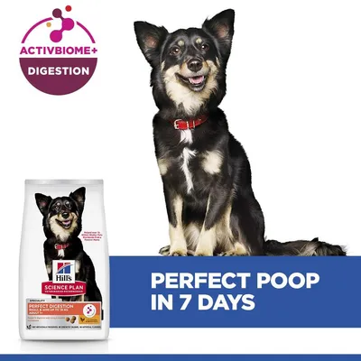 Hill's Science Plan Perfect Digestion Adult 1+ Small & Mini csirke & barna rizs