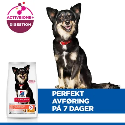 Hill's Science Plan Perfect Digestion Adult 1+ Small & Mini med kylling & brun ris