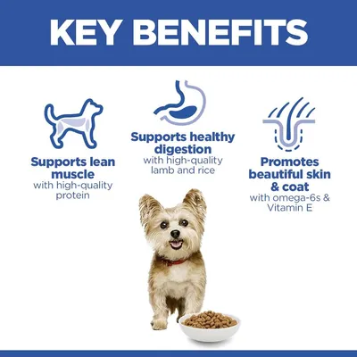 Hill's Science Plan Adult 1-6 Small & Mini bárány & rizs