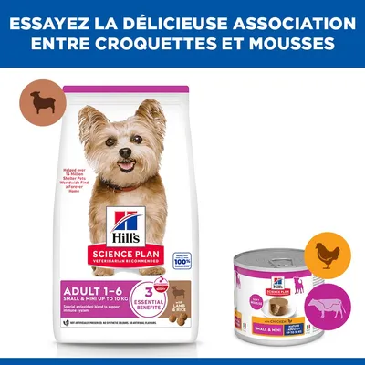 Hill's Science Plan Adulte 1-6 Small & Mini jusqu'à 10 kg avec agneau & riz, boîte avec poulet. Texte : Essayez la délicieuse association entre croquettes et mousses. Hill's Science Plan Adulte 1-6 Small & Mini jusqu'à 10 kg avec agneau & riz, boîte avec poulet. Texte : Essayez la délicieuse association entre croquettes et mousses.