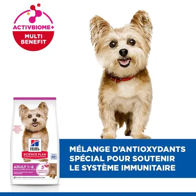 Hill's Science Plan Adulte 1-6 Small & Mini, ActivBiome+ Multi Benefit, mélange d'antioxydants pour soutenir le système immunitaire. Hill's Science Plan Adulte 1-6 Small & Mini, ActivBiome+ Multi Benefit, mélange d'antioxydants pour soutenir le système immunitaire.
