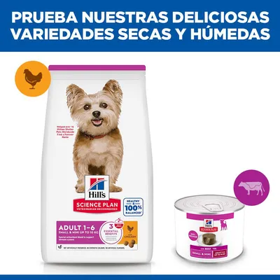Hill's Science Plan Adult Small & Mini Mousse para perros
