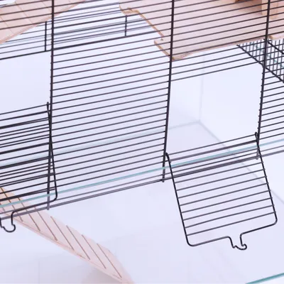 Close-up view of a cage with metal mesh walls and wooden platforms, including a drop-down door.
