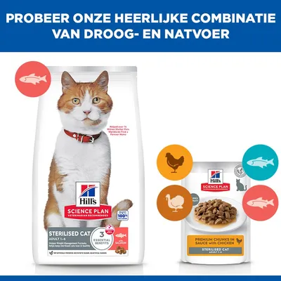 Hill's Science Plan Adult Sterilised saumon pour chat