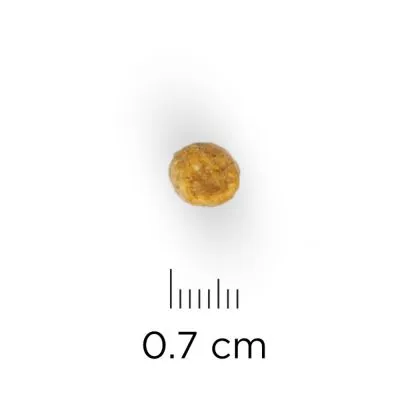 Granule s průměrem 0,7 cm, zobrazená vedle měřítka.