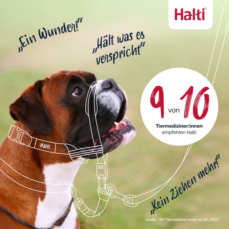Halti Hundegeschirr. Aussagen: 'Ein Wunder!', 'Hält was es verspricht', 'Kein Ziehen mehr!'. 9 von 10 Tiermediziner:innen empfehlen Halti. Quelle: 184 Tiermediziner:innen im UK, 2023.