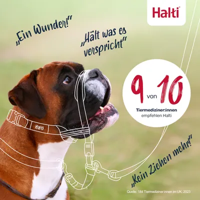 Halti Hundegeschirr. Aussagen: 'Ein Wunder!', 'Hält was es verspricht', 'Kein Ziehen mehr!'. 9 von 10 Tiermediziner:innen empfehlen Halti. Quelle: 184 Tiermediziner:innen im UK, 2023.