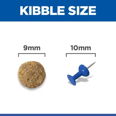 Hill's Science Plan Adult 1 - 6 Salmon