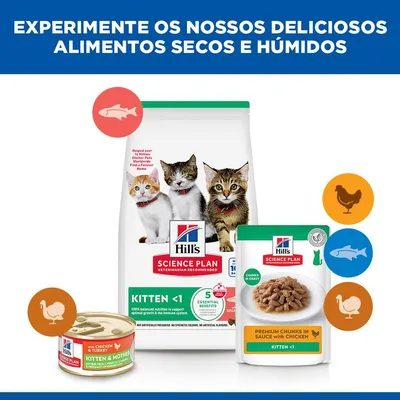 Hill's Science Plan Kitten <1 com salmão