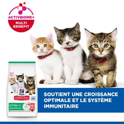Hill's Science Plan Kitten <1 Saumon