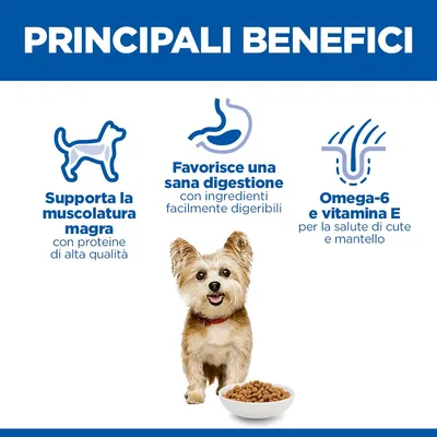 Hill's Science Plan Adult 1-6 Small & Mini con Pollo