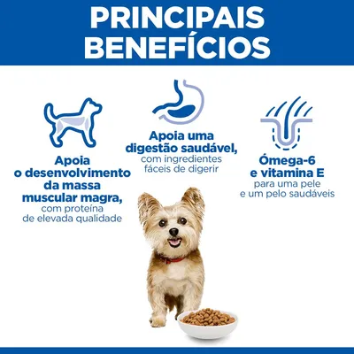 Hill's Science Plan Adult 1-6 Small & Mini com frango