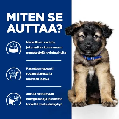 Hill's Prescription Diet i/d Digestive Care Puppy kana